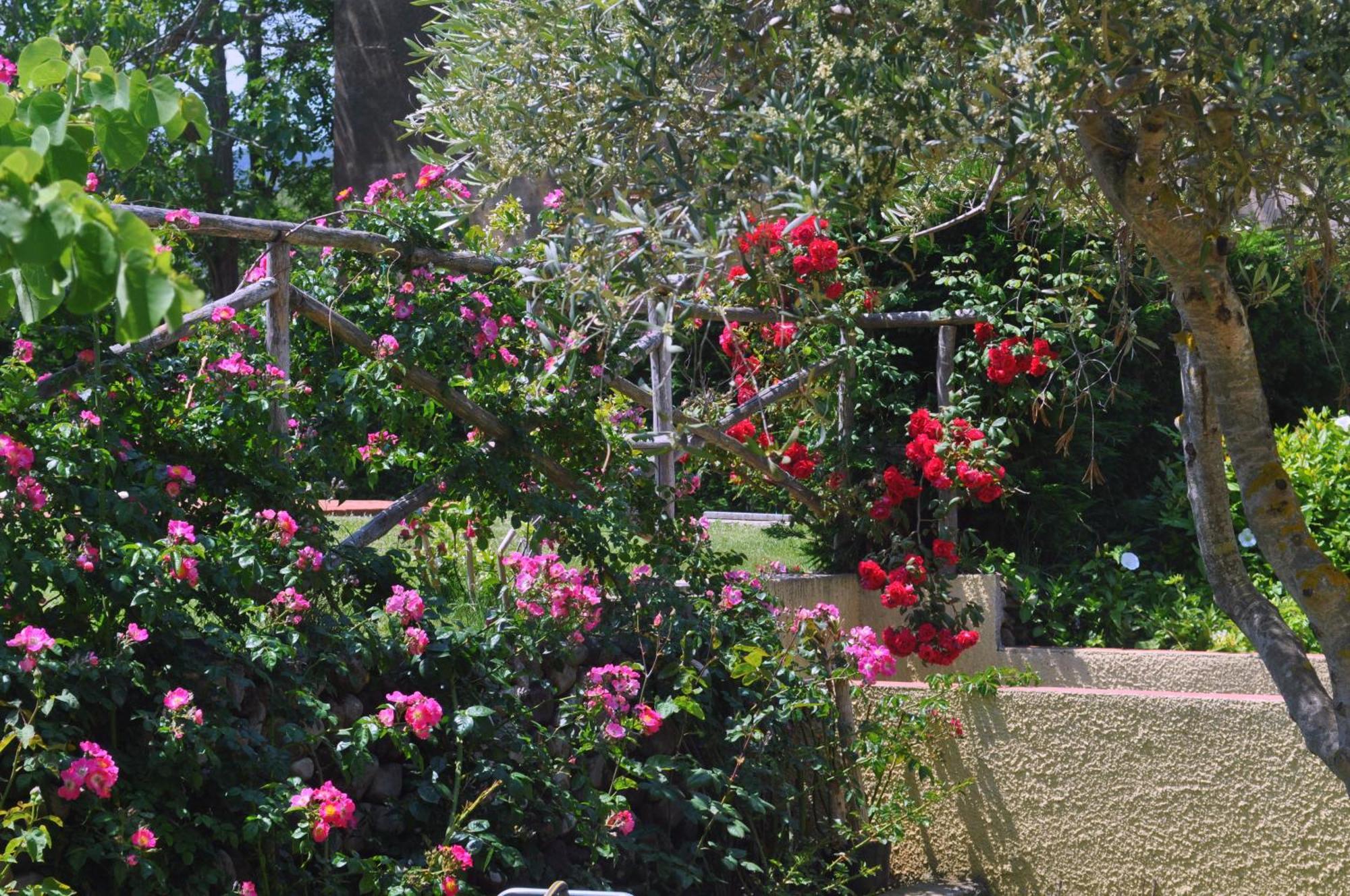 Hotel Tirrena Bike & Country Hotel Portoferraio Exterior photo